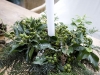 christmas-outdoor-decorating-10