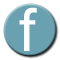 Facebook button