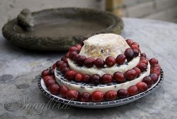 Birdfeeder Cake