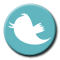 Twitter button