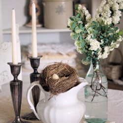 Nest vignette