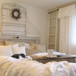 I want to be that cat!