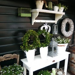 Lovely garden corner