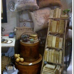 I found another ladder with books!