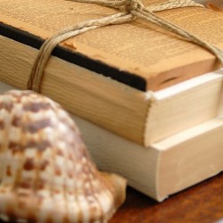 Decorating with books can be this simple: Mustard Seed Creations