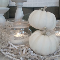 Simple Country Pumpkins [They are white, Lurve]