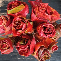Fall leaves turn into beautiful roses!!
