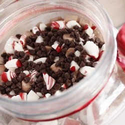 This does it, if peppermint in hot chocolate looks this good I have to try it.