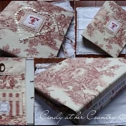 The perfect gift for a lover of Cross stitch!! Lovely Toile de Jouy fabric covered binder.