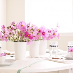 (via Air Kiss: French Farmhouse Style Table Setting & a Wall of Antique White Frames…)