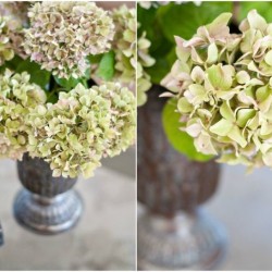 From @Heather_Bullard: How To Dry Hydrangeas