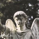 cemetery angel