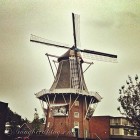 Holland-Wind mill.jpg