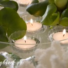 floating candles in an indoor pond with coral on the side