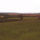 Landscape-3.jpg
