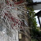 red and white twig wreath Christmas