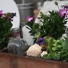 Spring-Garden-Table-4.jpg