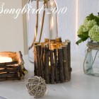 Twig vignette1