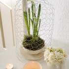 Wire Cloche5