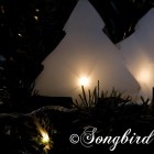 homemade Christmas tree decoration paper lights