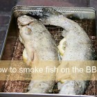smoke fish yourself