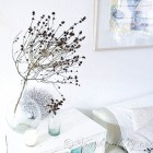skeleton plant in glass vase
