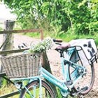 romantic image of turquoise bike