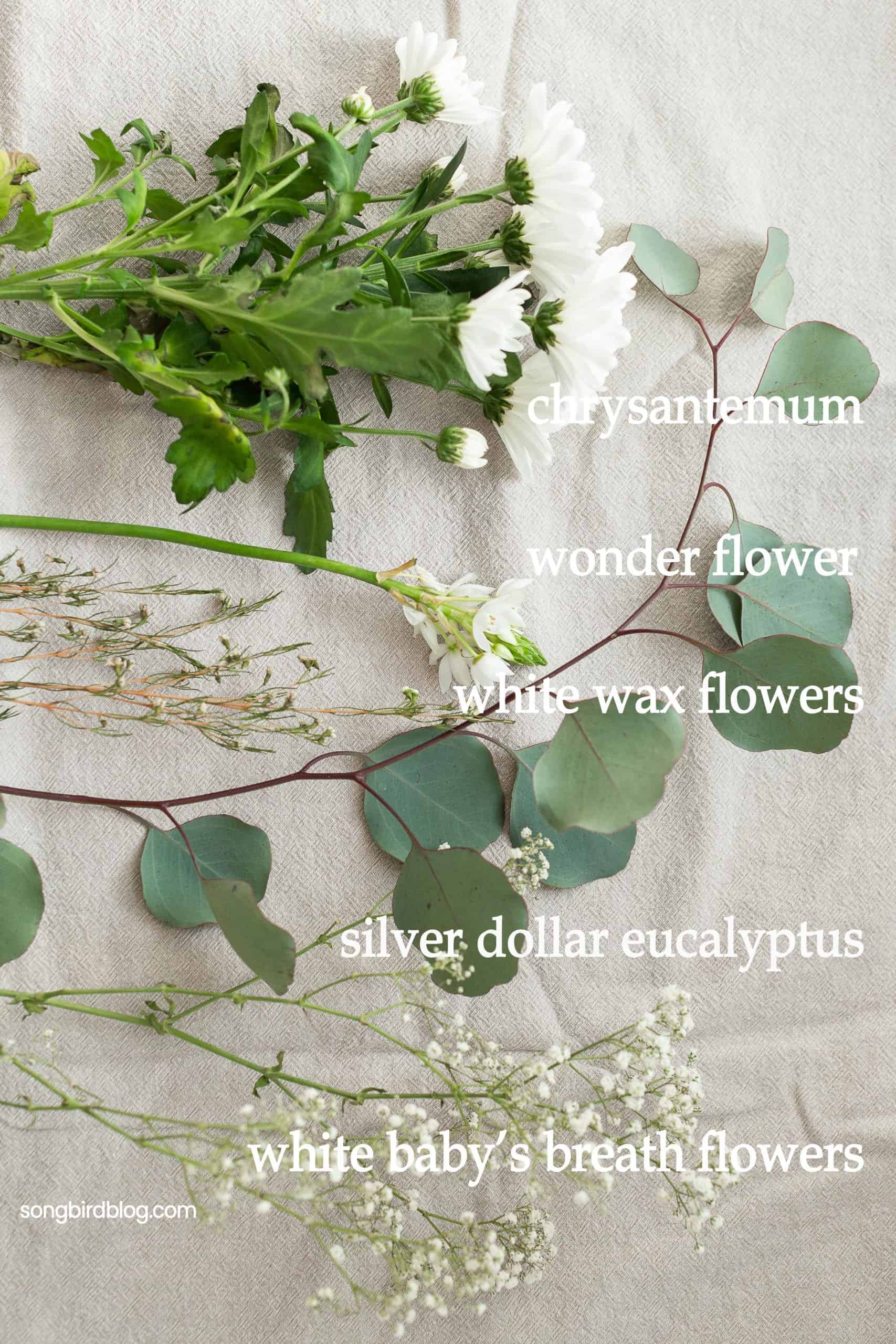 fresh winter flowers white