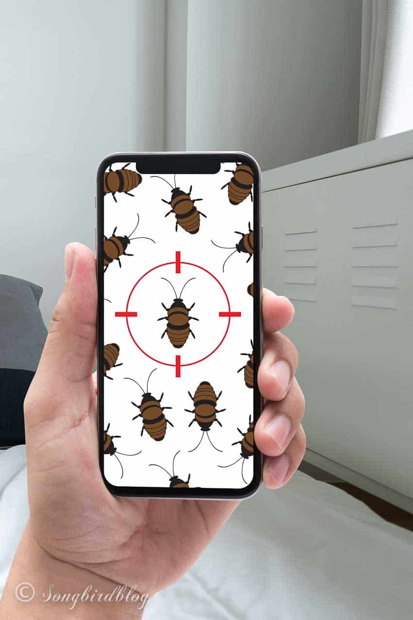hand holding an mobile phone showing a pest identifier app