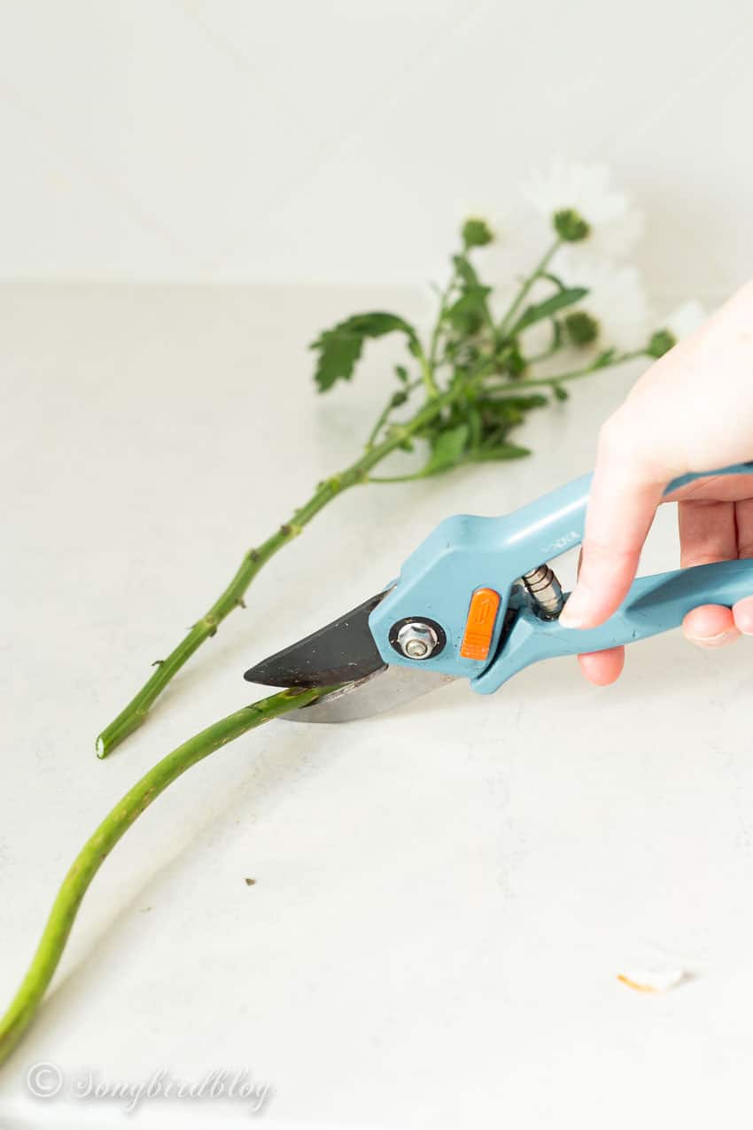 how to prepare flowers for a bouquet cut the stems