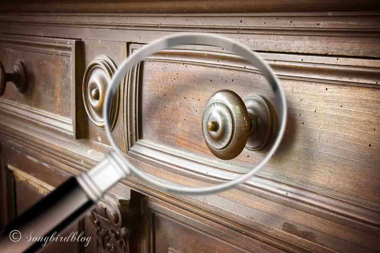 magnifying glass inspecting old furniture for woodworms