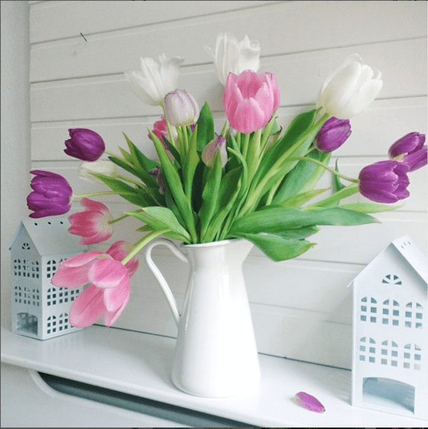 white, pink and purple tulip bouquet in white pitcher